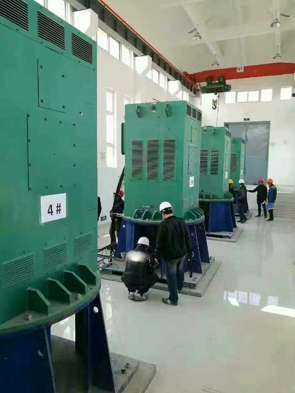 上海某污水处理厂使用我厂的立式高压电机安装现场生产厂家