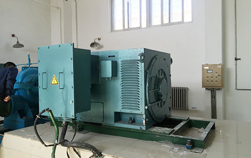 上海某水电站工程主水泵使用我公司高压电机生产厂家