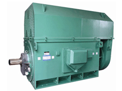 上海Y系列6KV高压电机生产厂家